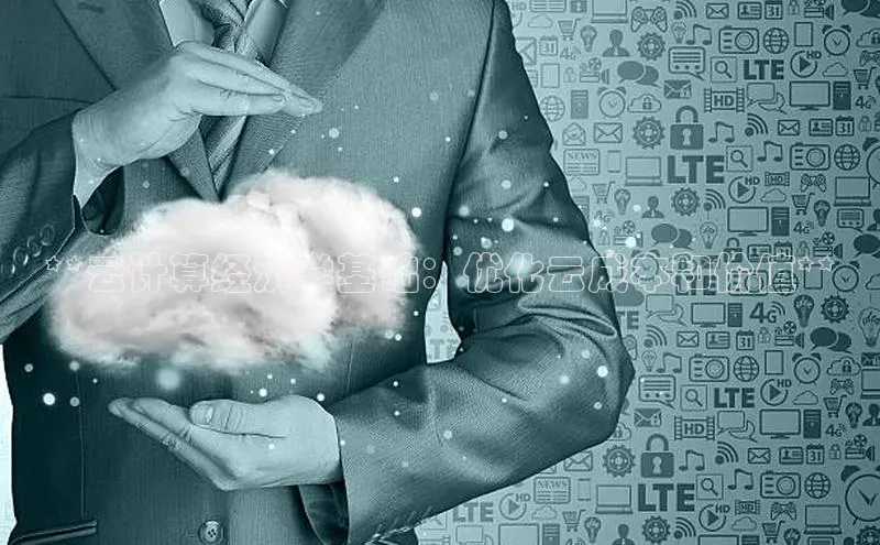 能玩加拿大28的网址百度营销中心**云计算经济学基础：优化云成本和价值**