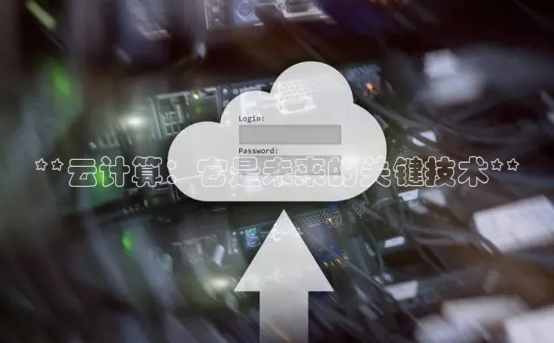 28圈平台链接观星盘**云计算：它是未来的关键技术**