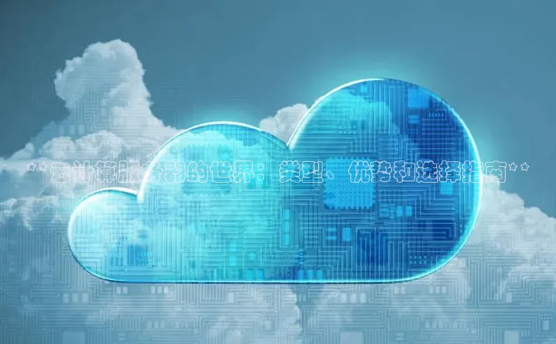 加拿大28圈.ccm挪威主权基金**云计算服务器的世界：类型、优势和选择指南**