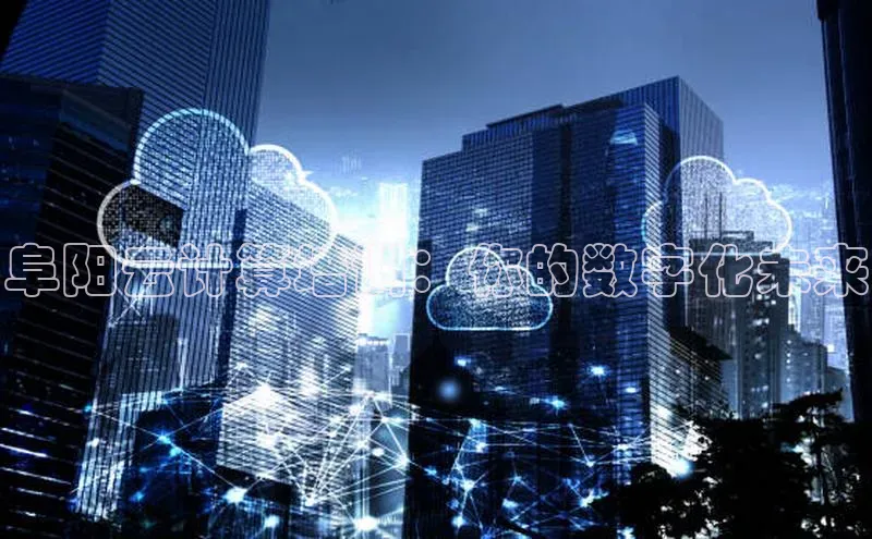28圈电子游戏汉得信息阜阳云计算培训：你的数字化未来