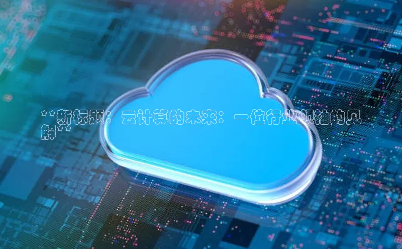 加拿大28快速预测开奖百度人工翻译**新标题：云计算的未来：一位行业领袖的见
解**