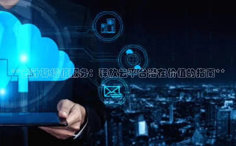 加拿大28圈下载百度翻译**云计算增值服务：释放云平台潜在价值的指南**