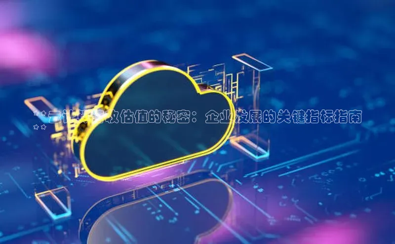 28圈app注册地址光魔科技**云计算营收估值的秘密：企业发展的关键指标指南
**