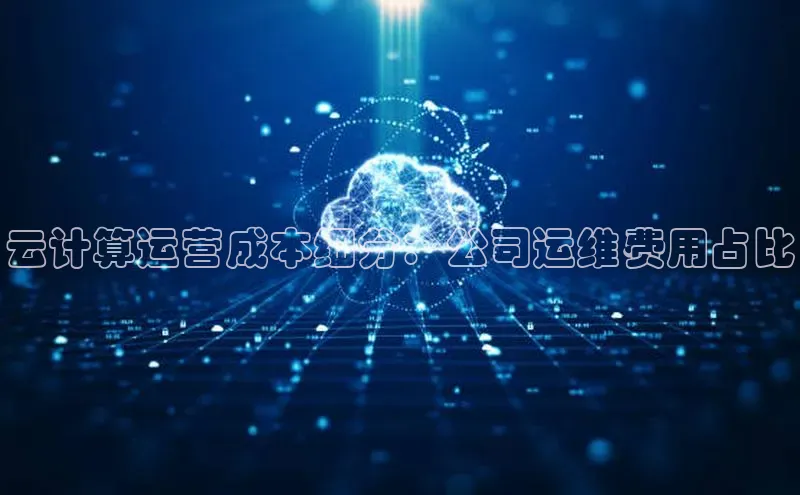 加拿大28圈合法吗赛富乐斯云计算运营成本细分：公司运维费用占比