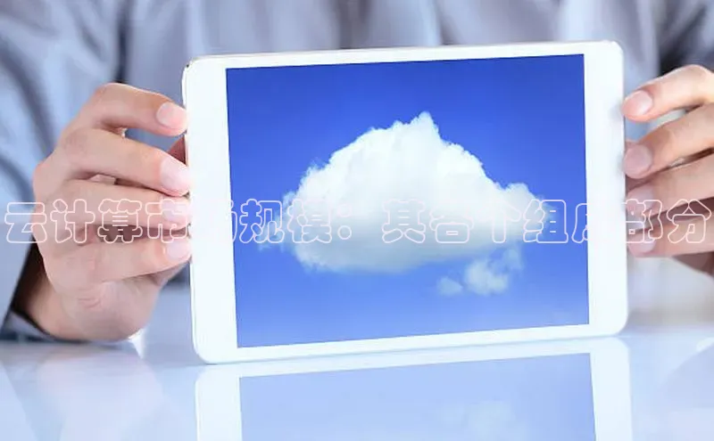 28电子游戏官方网站极氪智能科技云计算市场规模：其各个组成部分