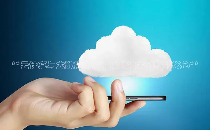 28圈平台链接华策影视**云计算与大数据研发：推动技术创新的核心**