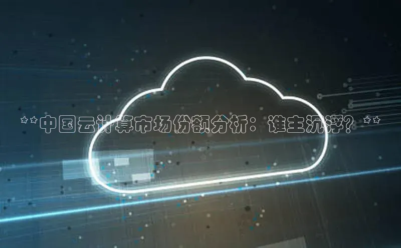 加拿大pc28平台app下载猫眼**中国云计算市场份额分析：谁主沉浮？**