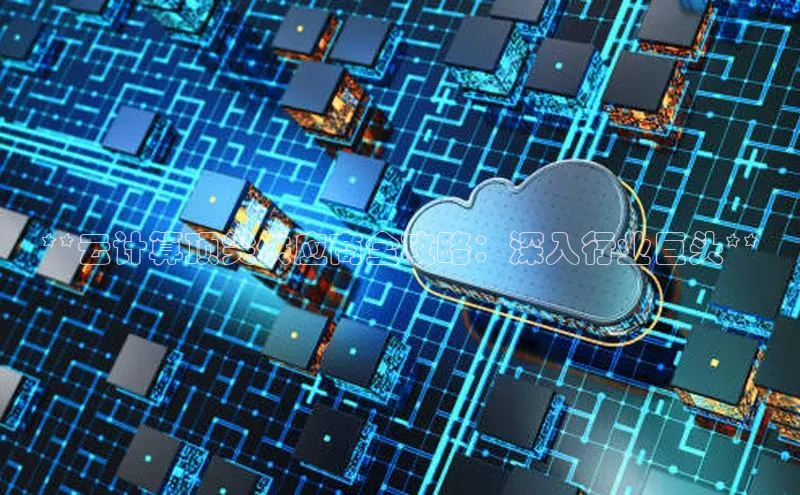 加拿大28圈官网版天键股份**云计算顶尖供应商全攻略：深入行业巨头**