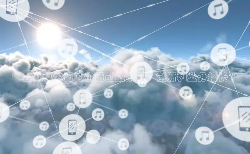 加拿大28圈注册链接雷柏科技**云计算公司的价值创造策略：创新和业务增长**