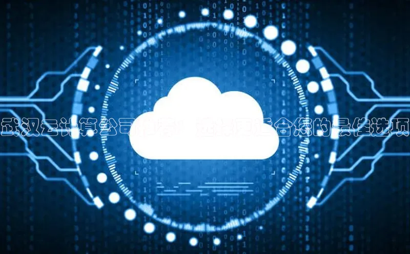 28圈.ccmpc29官网版下载滴滴出行武汉云计算公司推荐：选择更适合您的最佳选项