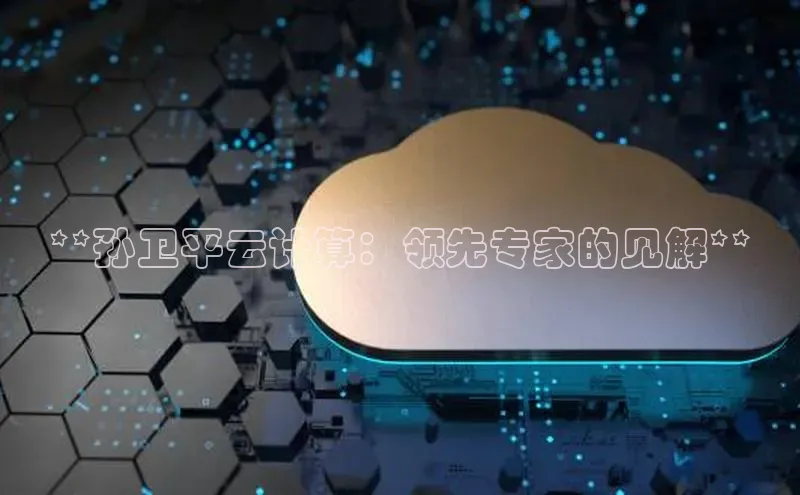 pc加拿大28预测开奖京东**孙卫平云计算：领先专家的见解**