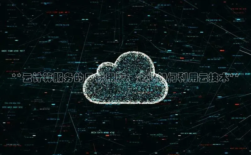 28圈.ccm百度移动开放平台**云计算服务的目标用户：企业如何利用云技术**