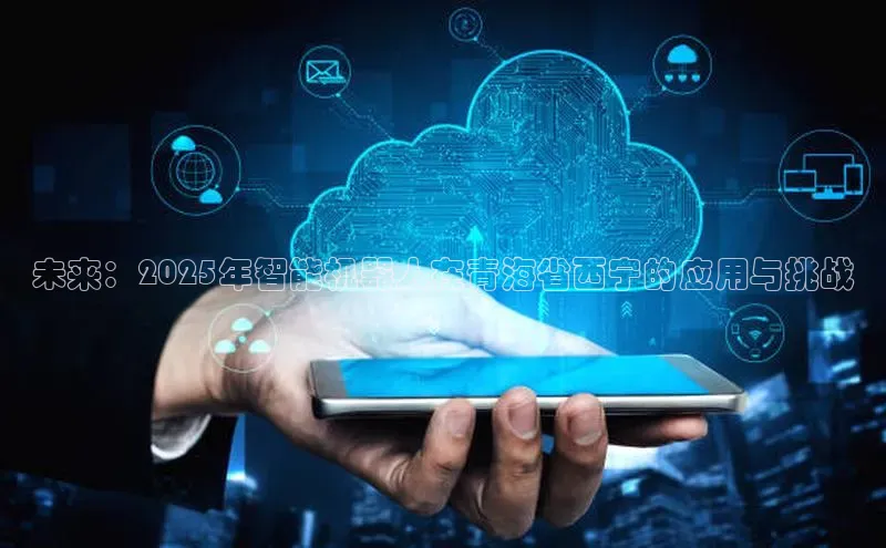 未来：2025年智能机器人在青海省西宁的应用与挑战